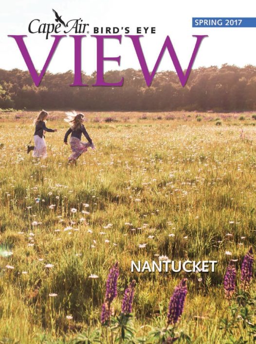 Bird’s Eye View Magazine Cover