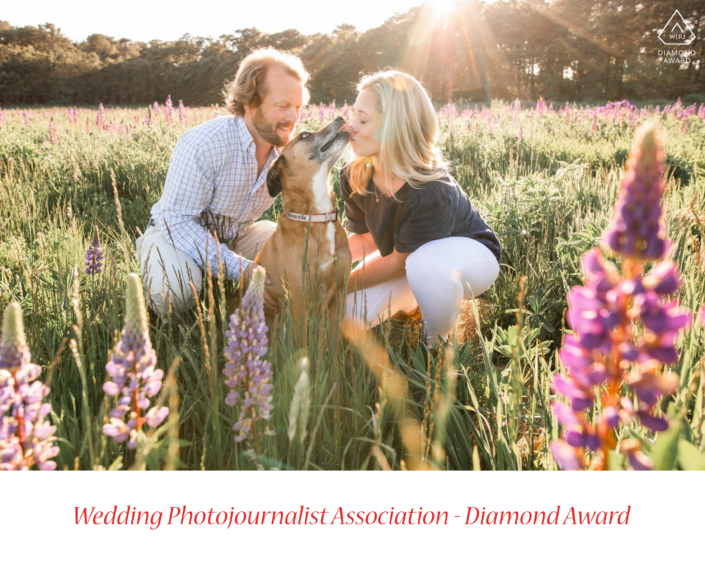 WPJADiamondAward6